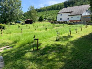 PHOTO-2020-08-21-20-56-37-2