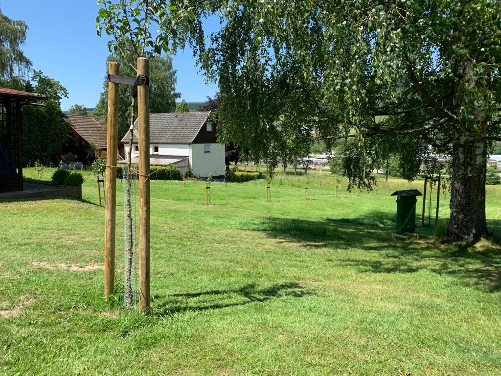 PHOTO-2020-08-21-20-56-37