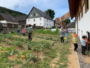 PHOTO-2020-08-21-20-43-01-1