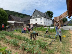 PHOTO-2020-08-21-20-43-01