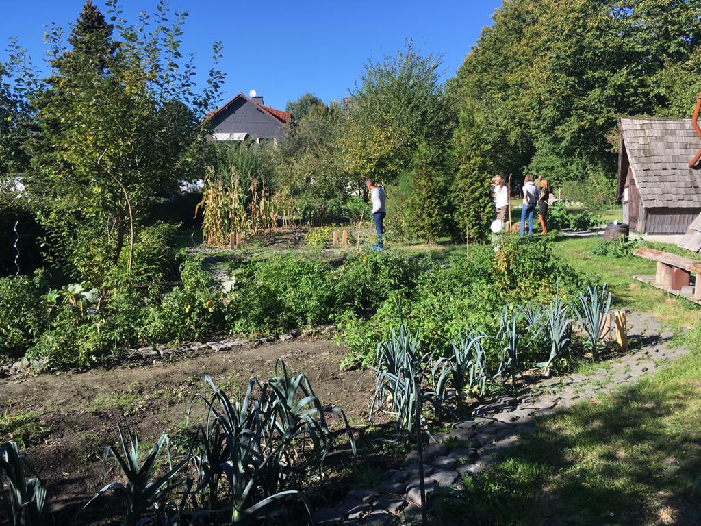 PHOTO-2020-08-21-22-14-49-7