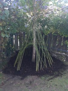 PHOTO-2020-08-21-23-21-45-1