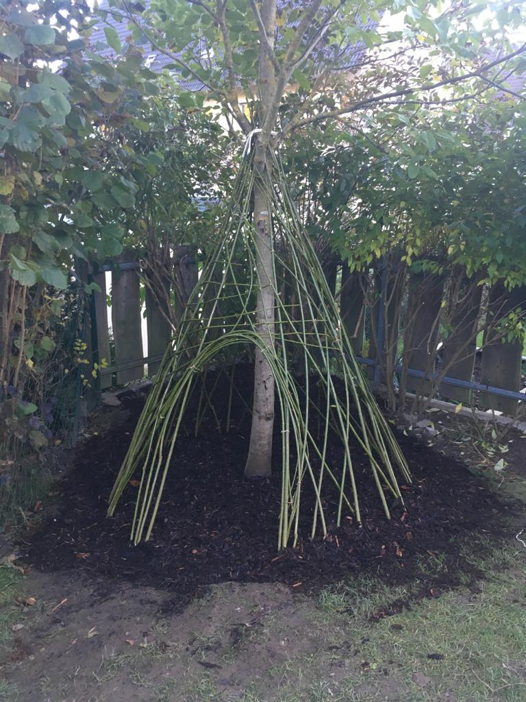 PHOTO-2020-08-21-23-21-45-1