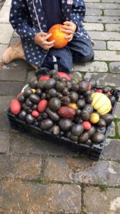 PHOTO-2021-10-08-09-35-19-3