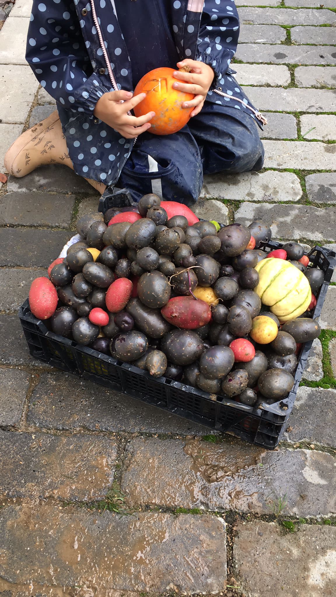 PHOTO-2021-10-08-09-35-19-3