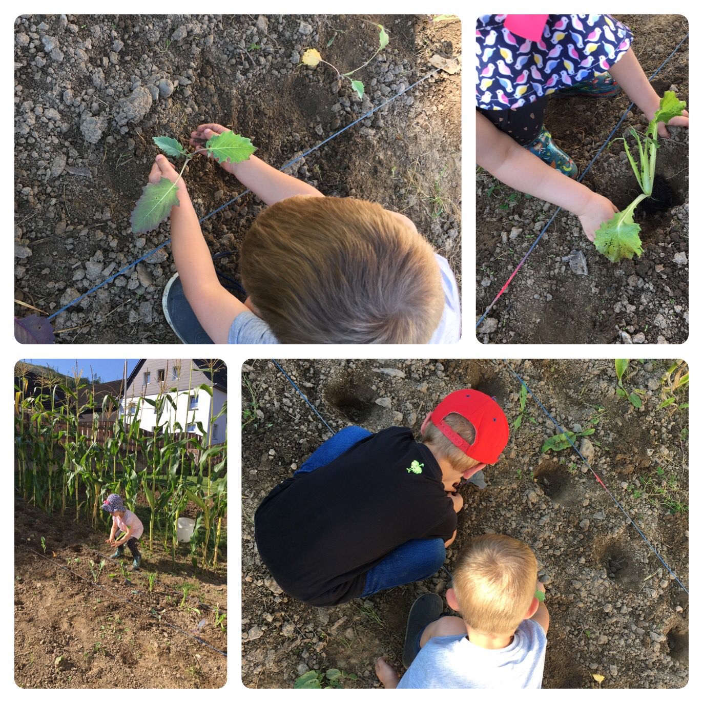 PHOTO-2021-10-08-09-35-19