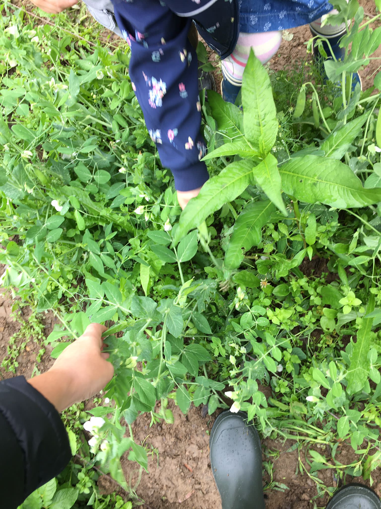 PHOTO-2021-10-08-09-35-20-1