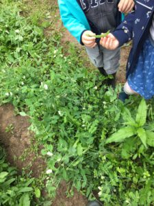 PHOTO-2021-10-08-09-35-20